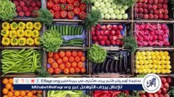 تحديثات أسعار الخضروات والفاكهة في الأسواق بعد رفع أسعار البنزين والسولار السبت 18 أكتوبر 2025